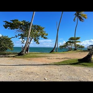 Meet your Posher, Jazmin